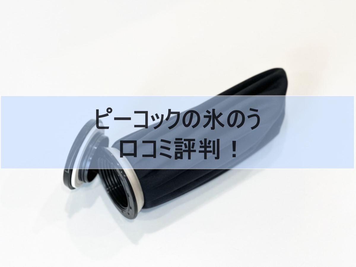 氷のうのイメージ画像